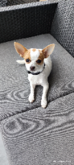 Photo de TITUS