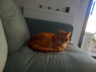 Photo de Berlioz
