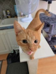 Photo de Stormie