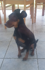 Photo de Noé