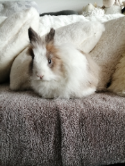 Photo de Titi
