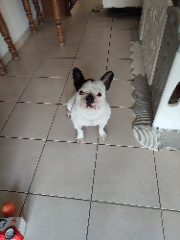 Photo de Paco