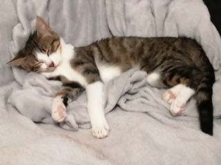 Photo de Oxy