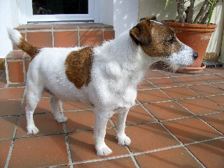 Photo de Eros