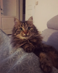 Photo de Winnie