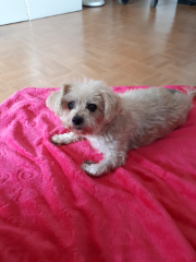 Photo de Emi