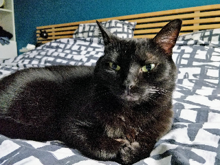 Photo de Tsuki