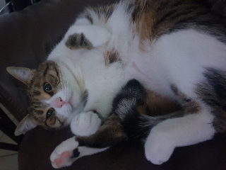 Photo de Tessa