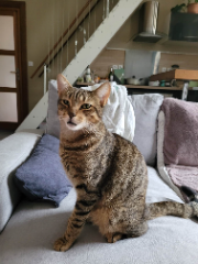 Photo de Smoky