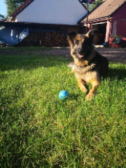 Photo de Molly