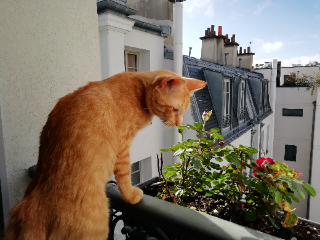 Photo de Léo