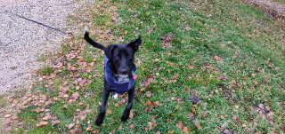 Photo de Kira