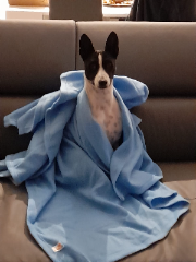 Lena
