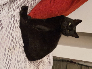 Photo de César
