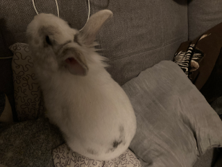 Photo de Noupy