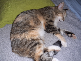 Photo de Loly