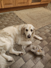 Ouzo