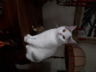Photo de Séraphin