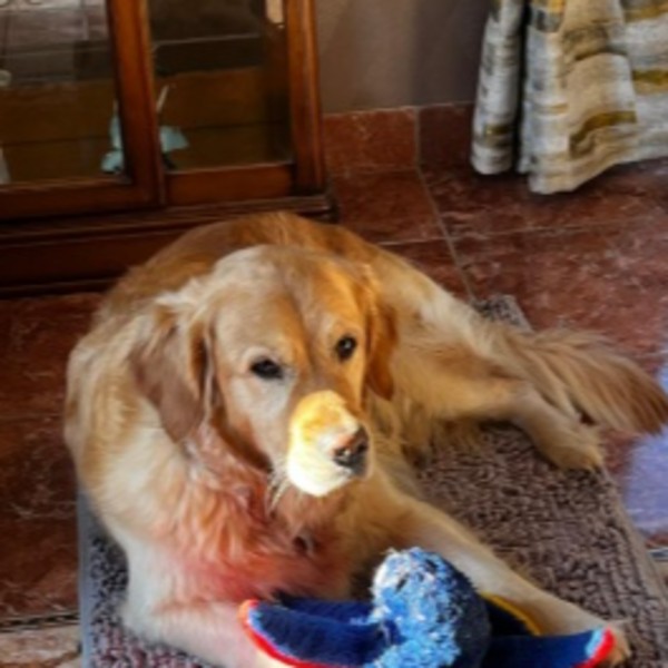 Photo de Tocane