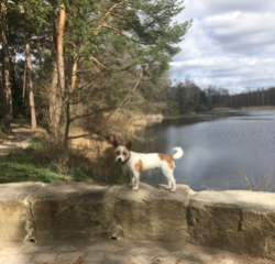 Jette
