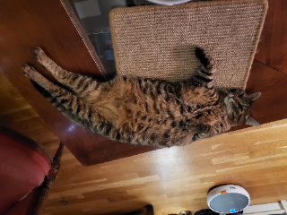 Java