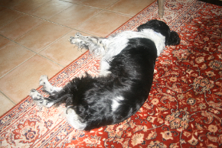Photo de Maxou