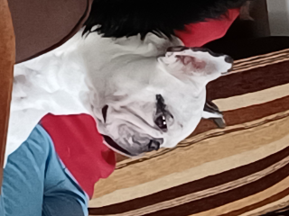 Photo de Oscar