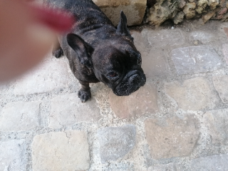 Photo de JICKIE