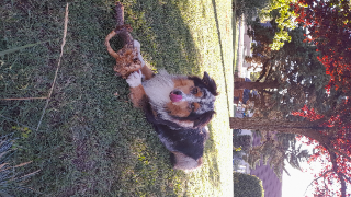 Samy