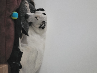 NALA