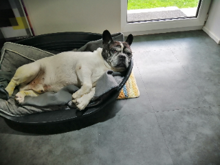 Photo de Jazz