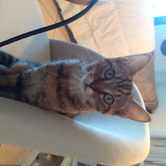 Photo de LILI