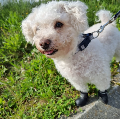Charlie