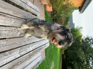 Photo de Socrate