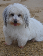 Photo de MAYKA