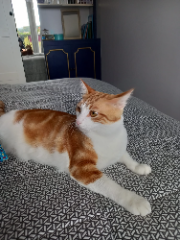 Caramel