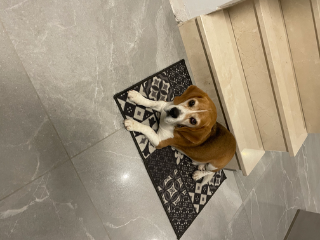 Photo de Nuno