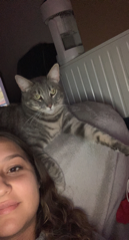 Laylo