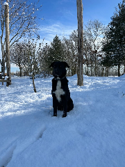 Tyson