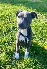 Photo de Terka