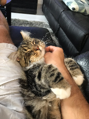 Photo de Oliver