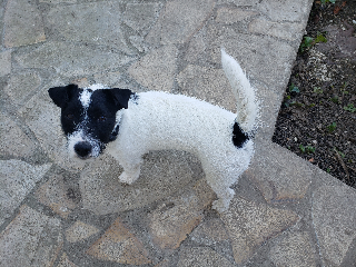 Photo de biskotton