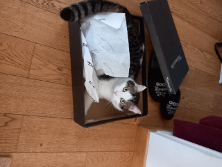 Photo de MARLEY