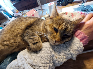 luna