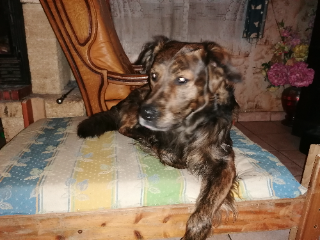 Photo de Bouba