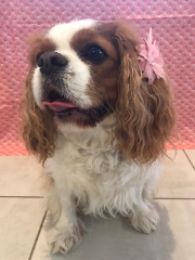 Photo de MAI-LIE