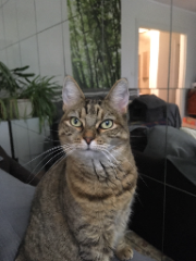 Photo de Malina
