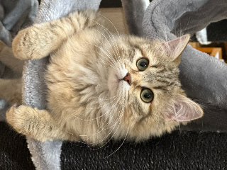 Photo de Talya