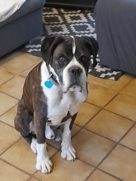 Photo de Eros