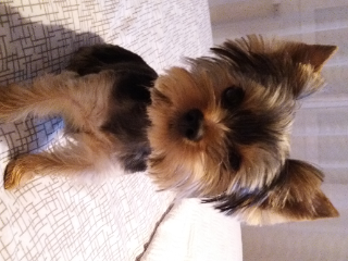 Photo de Olympe